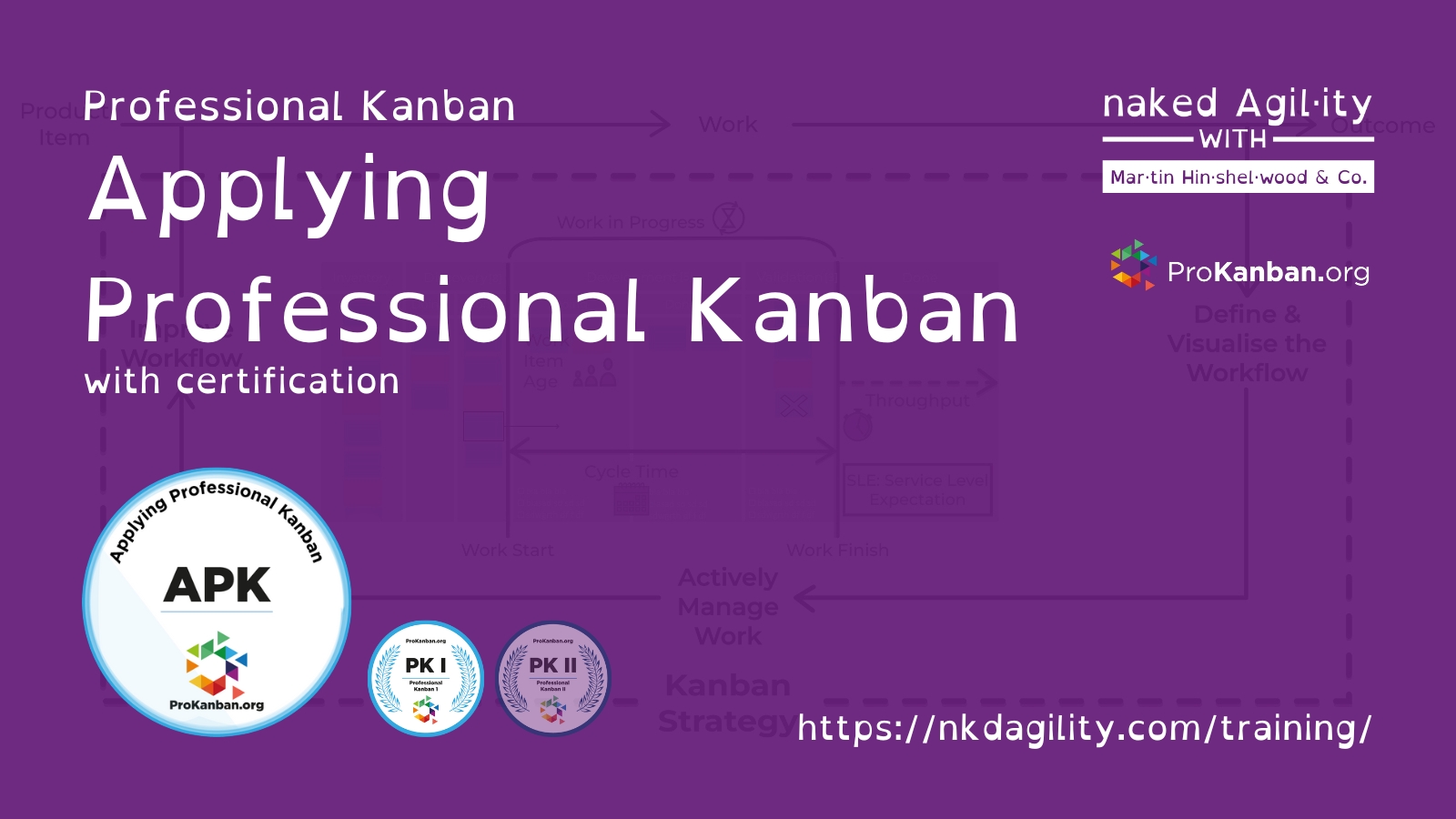 Applying Professional Kanban (APK) Course with Certification