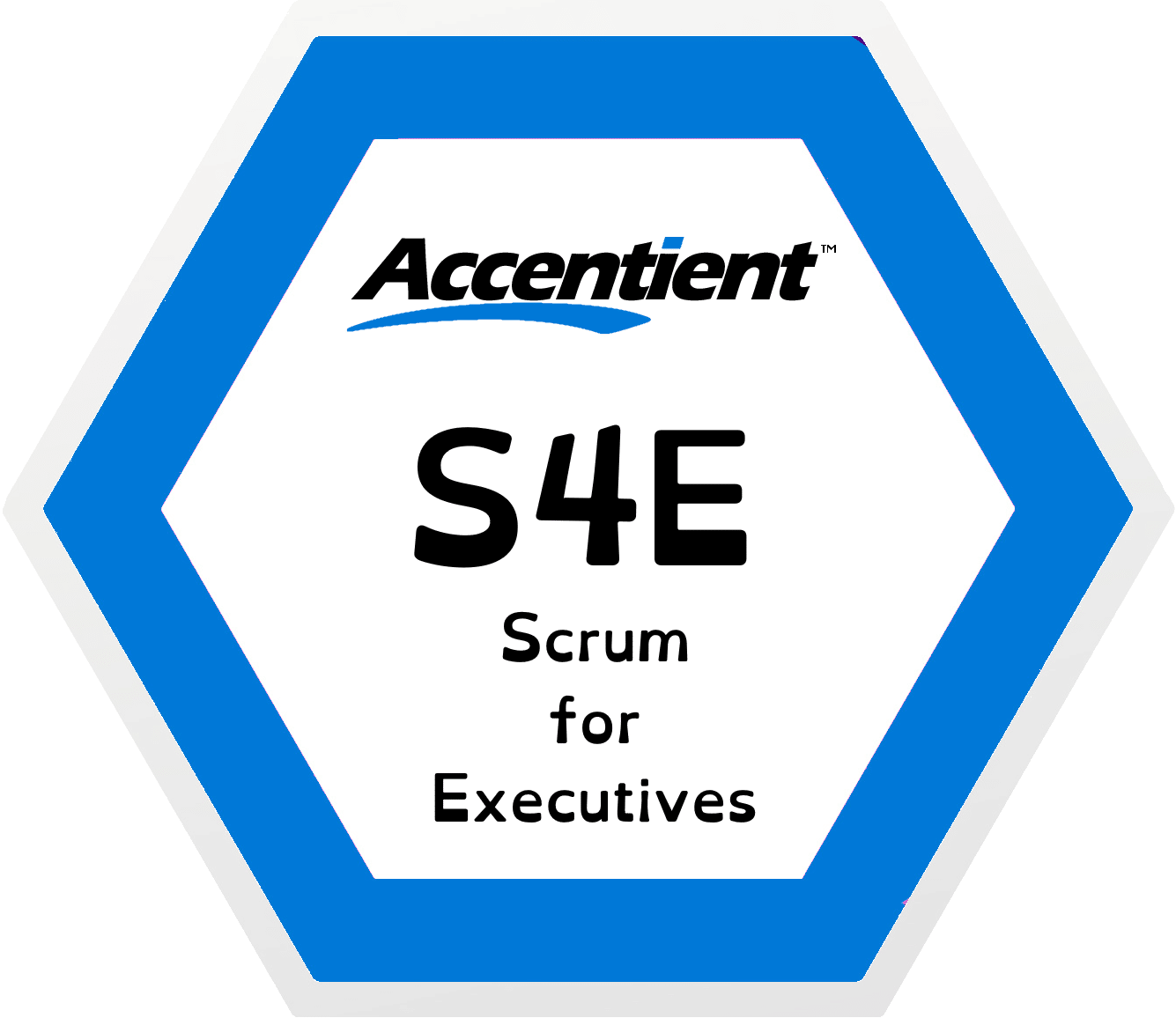 Scrum for Executives Training