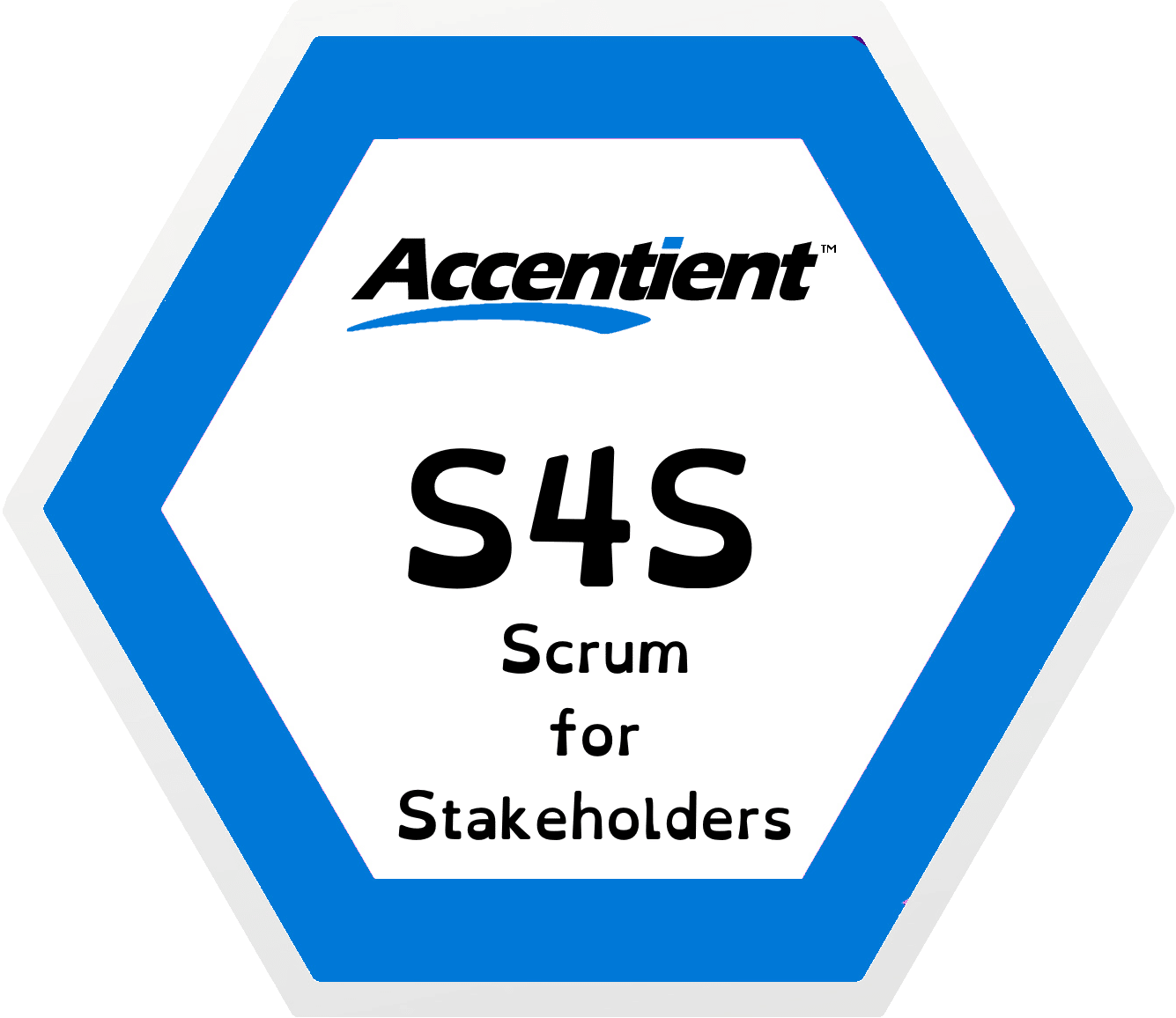 Scrum for Stakeholders Training