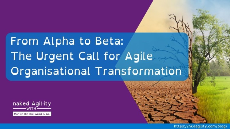 The Urgent Call for Agile Organisational Transformation