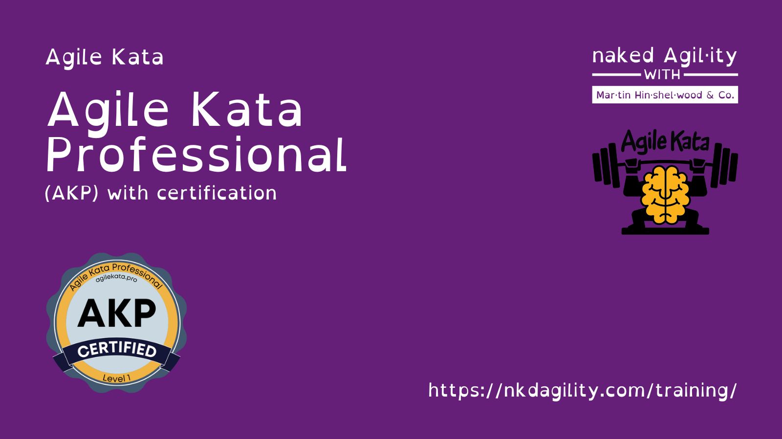 Agile Kata Professional