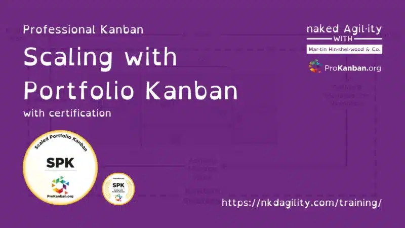 Applying Scaled Portfolio Kanban